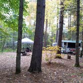 Review photo of Jigger Johnson Campground by Jean C., October 28, 2018