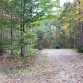 Review photo of Jigger Johnson Campground by Jean C., October 28, 2018