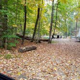 Review photo of Jigger Johnson Campground by Jean C., October 28, 2018