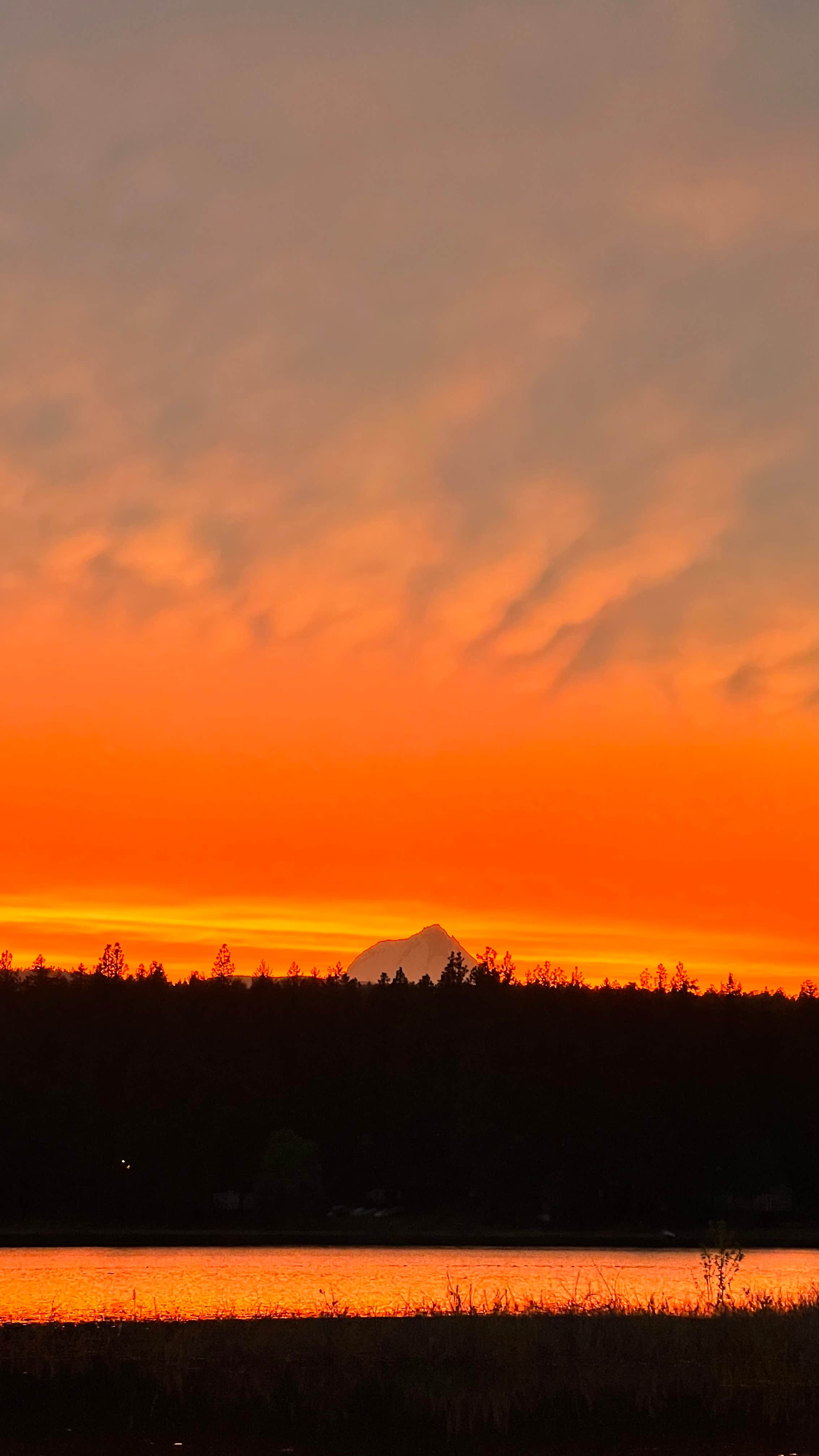 Camper submitted image from Mount Hood National Forest Rock Creek Reservoir Campground - 3