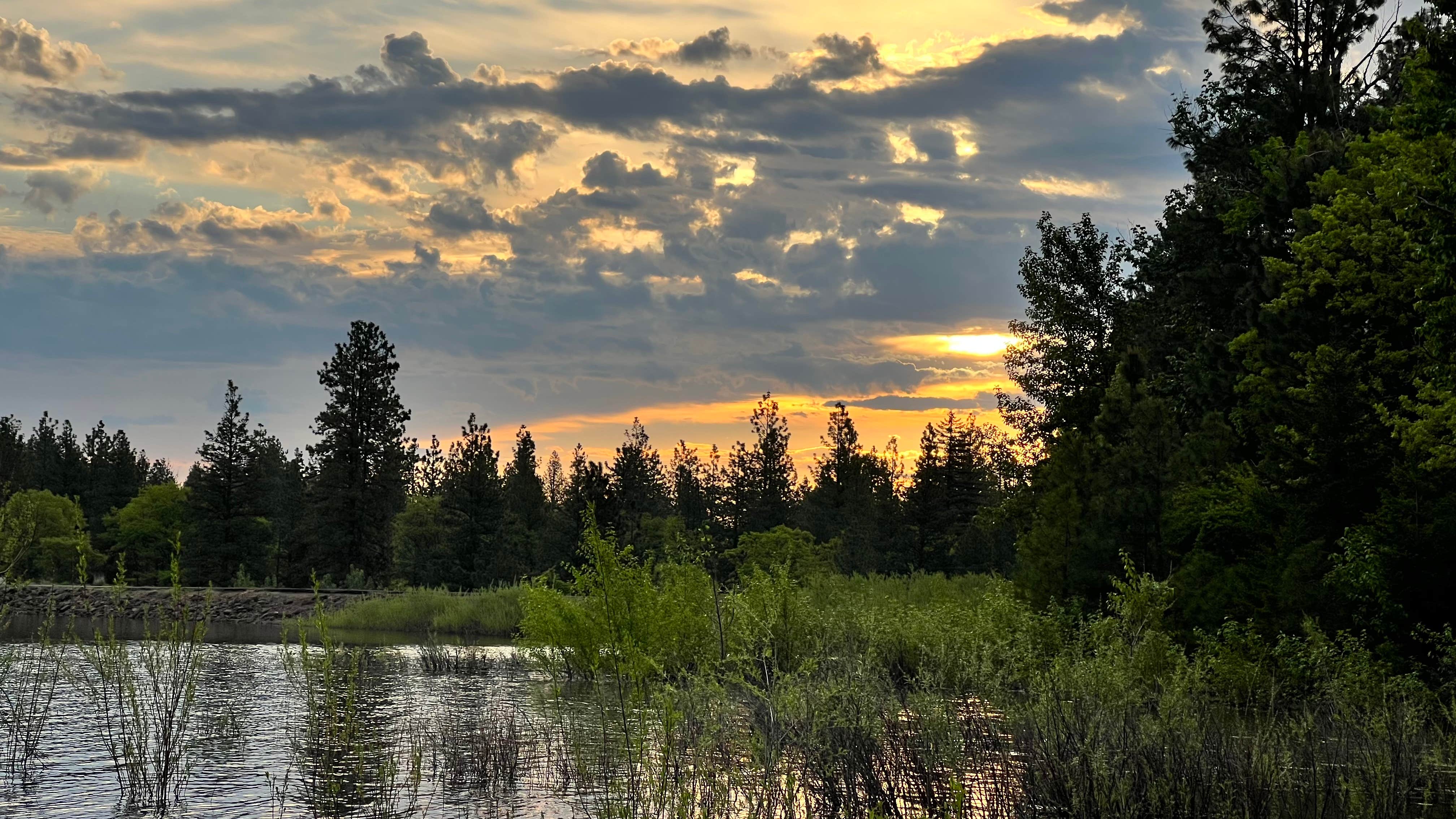 Camper submitted image from Mount Hood National Forest Rock Creek Reservoir Campground - 4