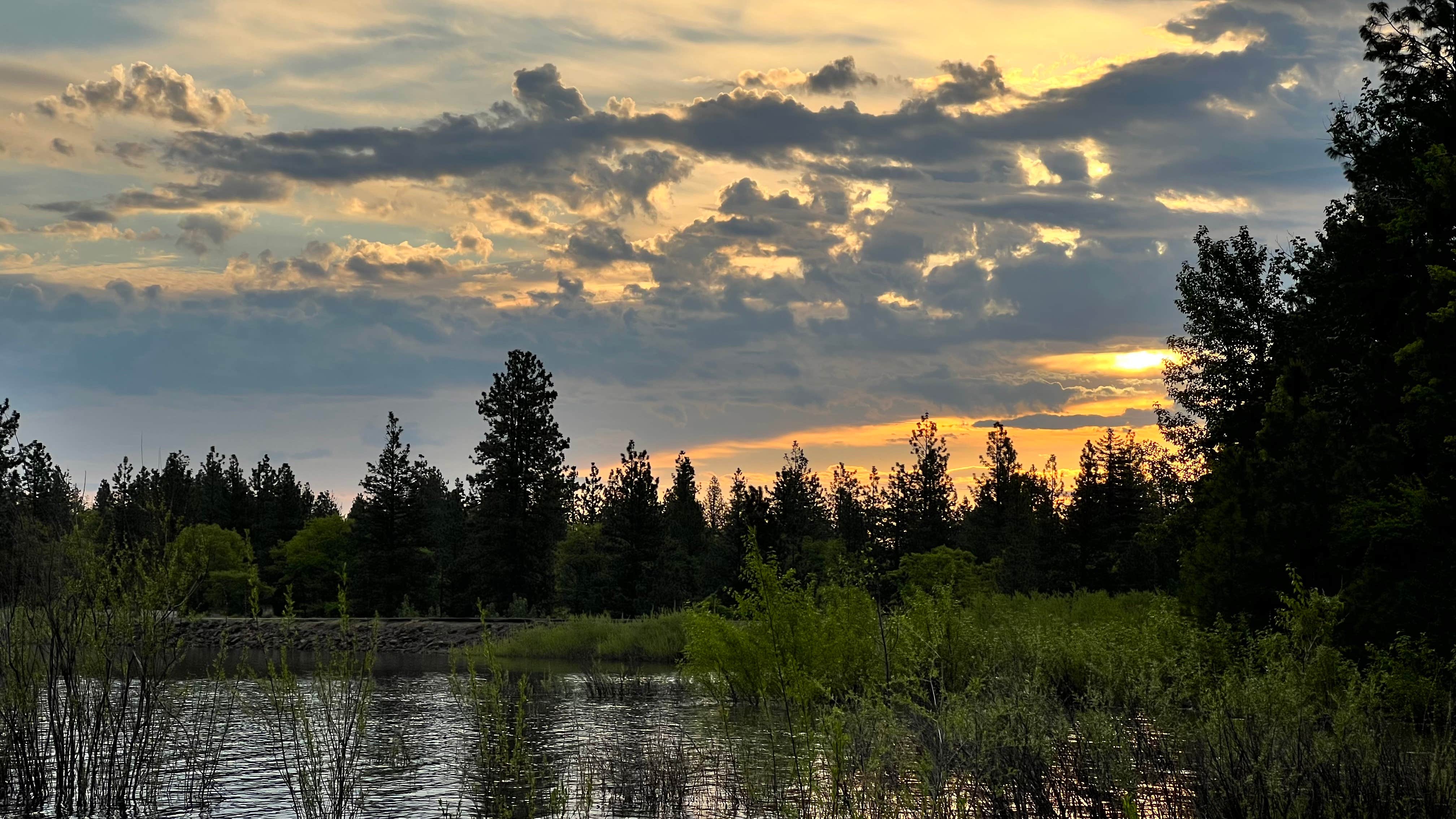 Camper submitted image from Mount Hood National Forest Rock Creek Reservoir Campground - 5