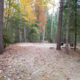 Review photo of Jigger Johnson Campground by Jean C., October 28, 2018