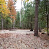 Review photo of Jigger Johnson Campground by Jean C., October 28, 2018