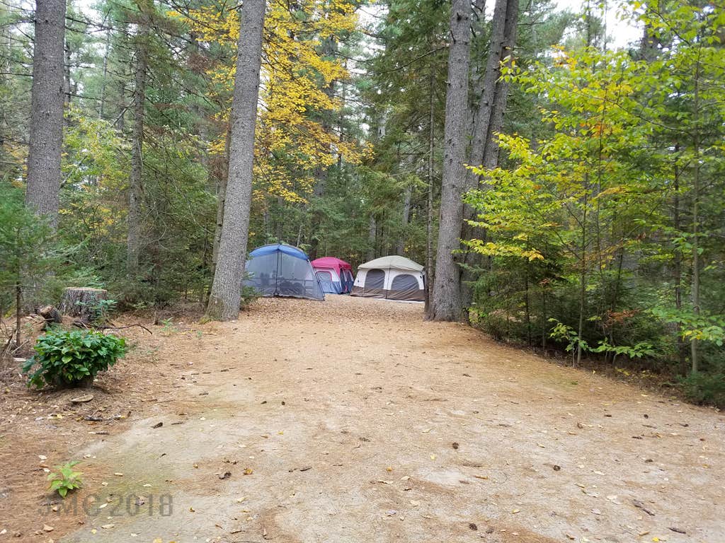 Jean C.'s photo at Jigger Johnson Campground near Bartlett, NH