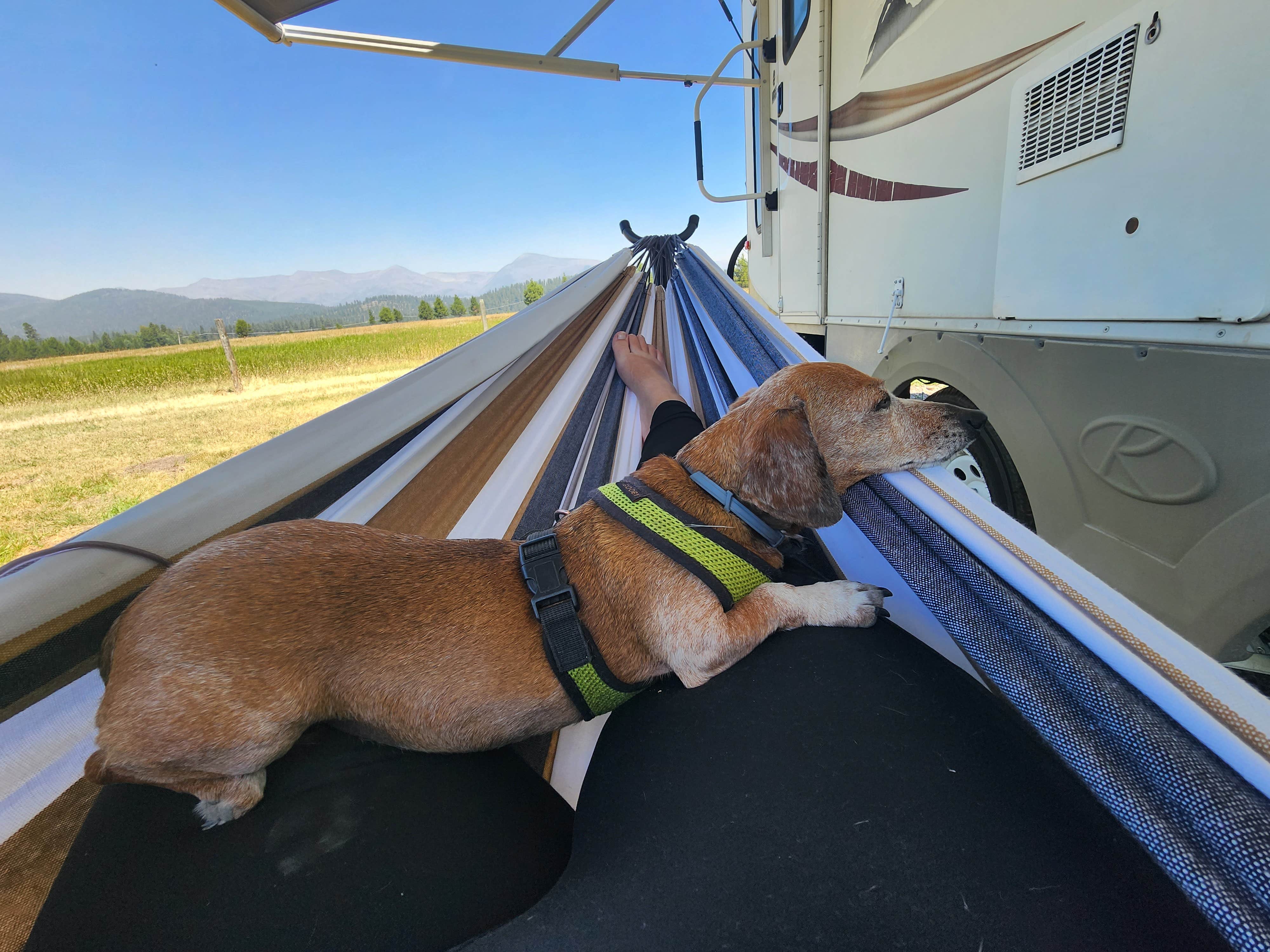 Camper submitted image from Lost Moose Meadows Campground - 3