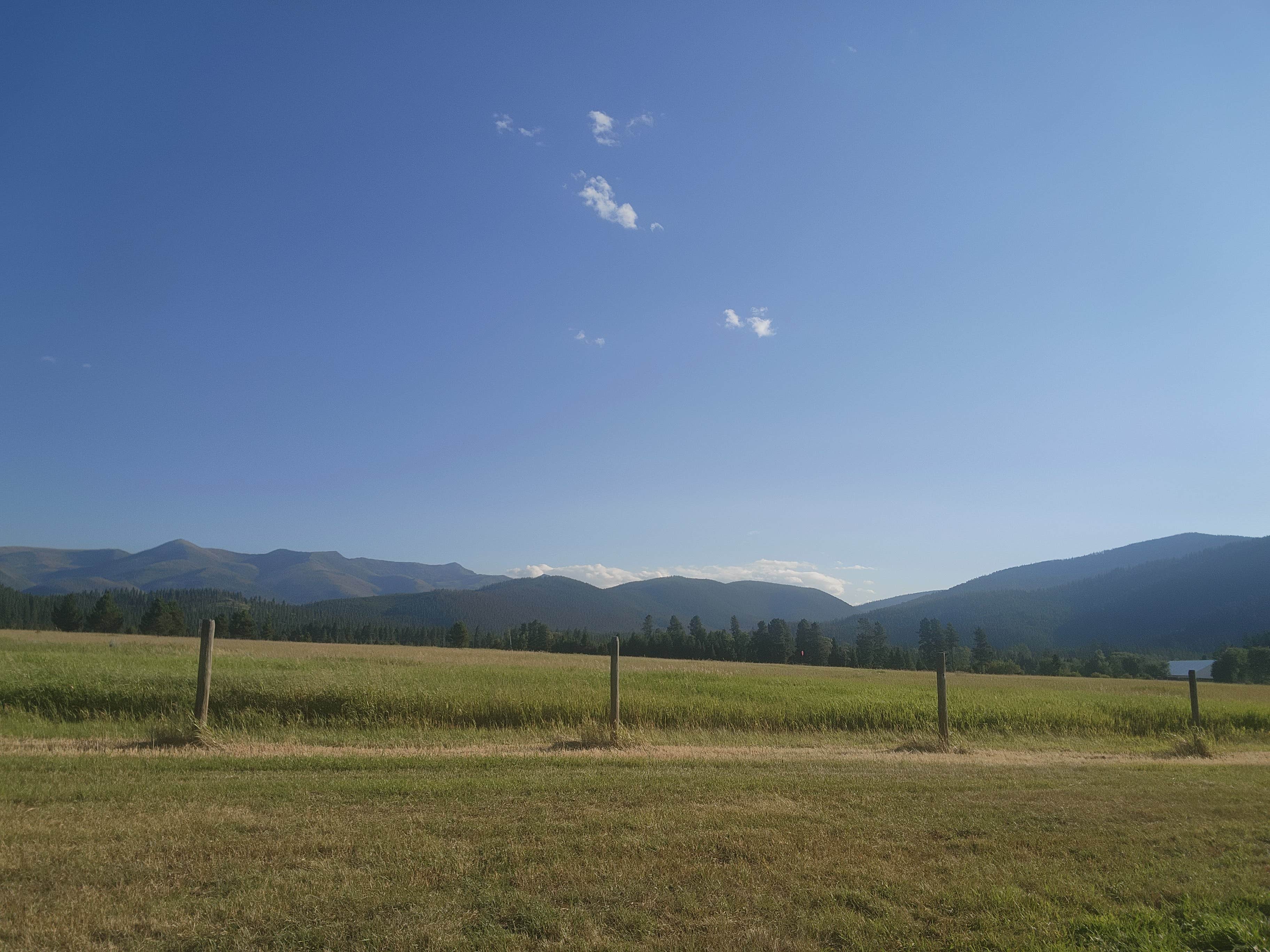 Camper-submitted photo at Lost Moose Meadows Campground near Augusta, MT