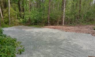 Camping near Rappahannock River Campground: Lot in the woods, Rixeyville, Virginia