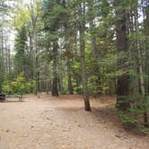 Review photo of Jigger Johnson Campground by Jean C., October 28, 2018