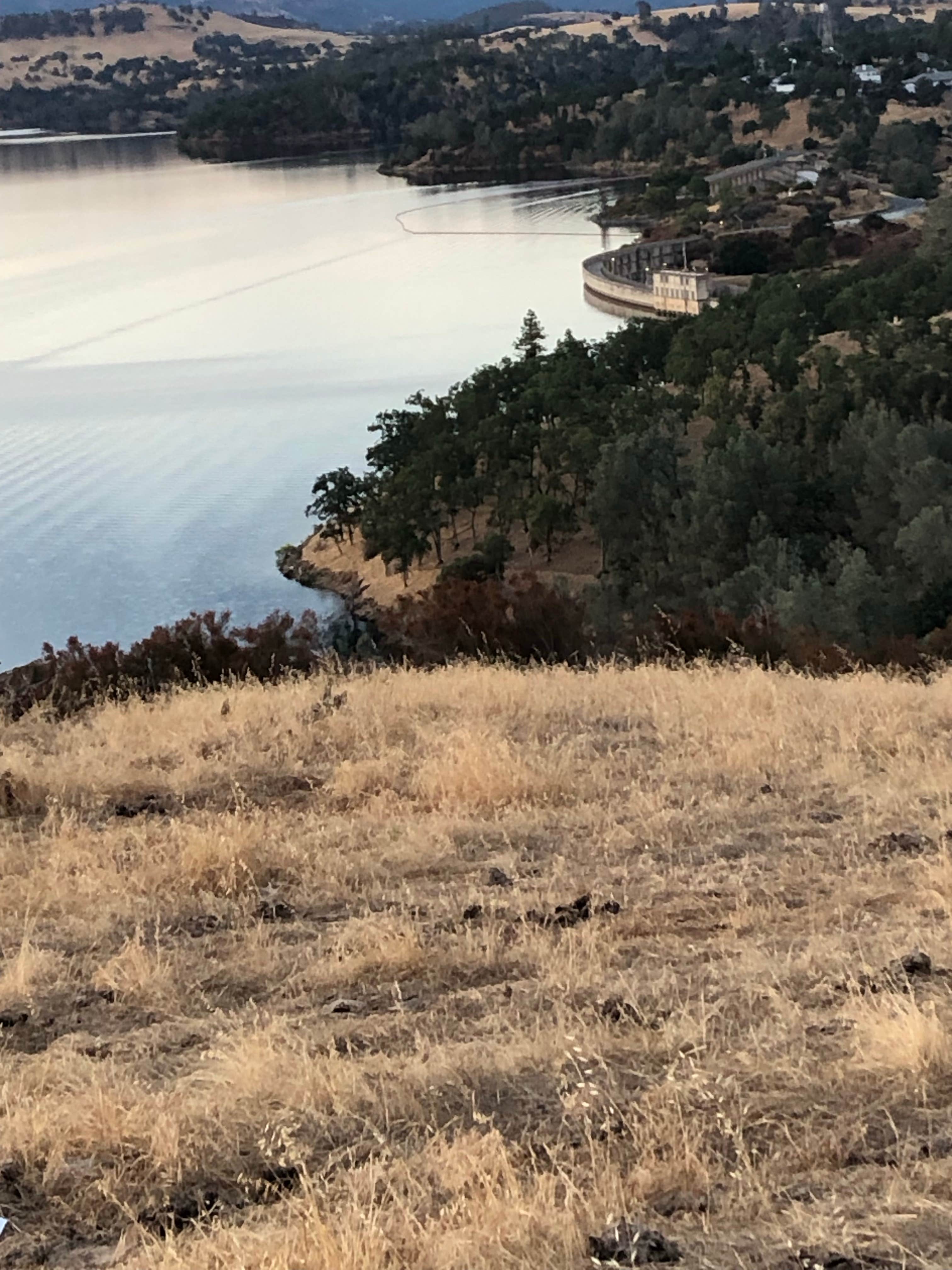Camper-submitted photo at Pardee Reservoir Recreation Area near Sutter Creek, CA