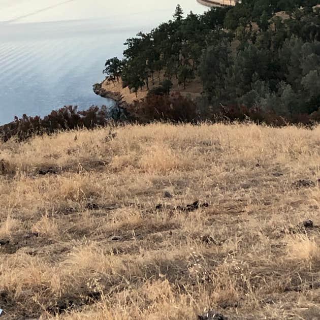 Pardee Reservoir Recreation Area Camping Ione, CA