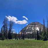 Review photo of Uinta Dispersed Campsites by Gentry B., August 19, 2023