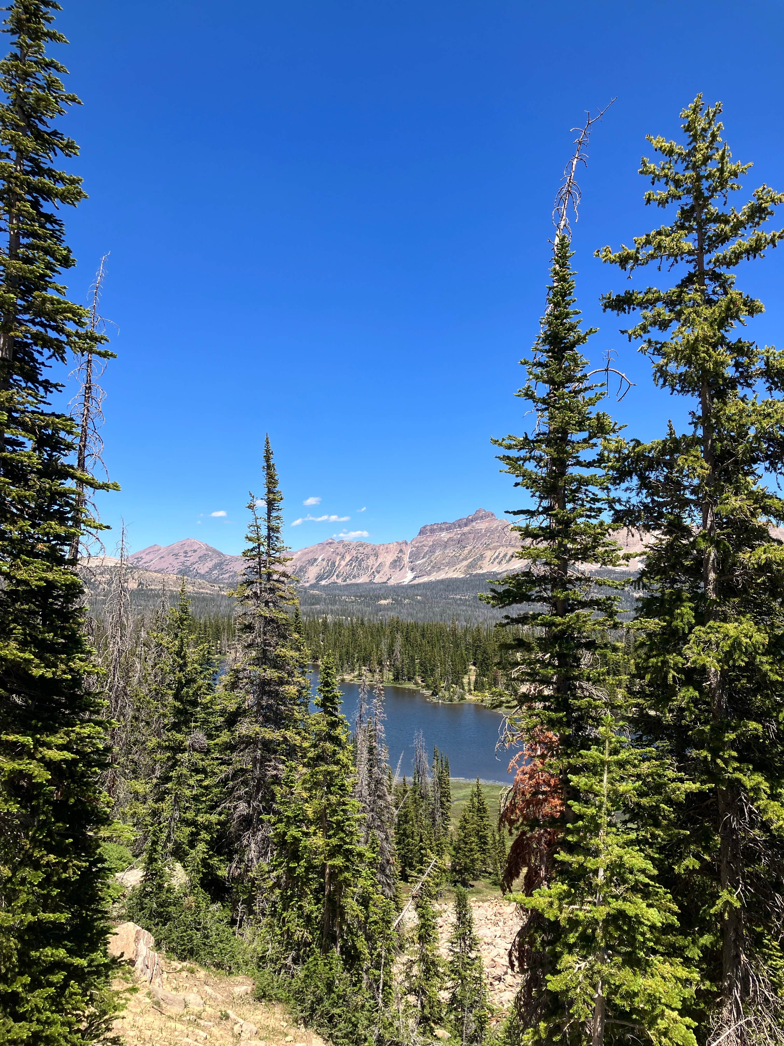 Camper-submitted photo at Uinta Dispersed Campsites near Fort Bridger, WY