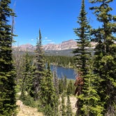 Review photo of Uinta Dispersed Campsites by Gentry B., August 19, 2023