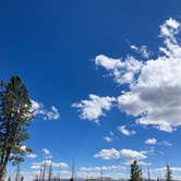 Review photo of Uinta Dispersed Campsites by Gentry B., August 19, 2023