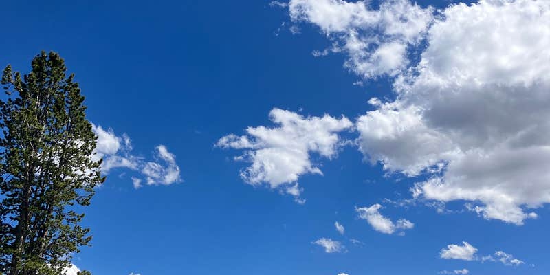 Camper submitted image from Uinta Dispersed Campsites