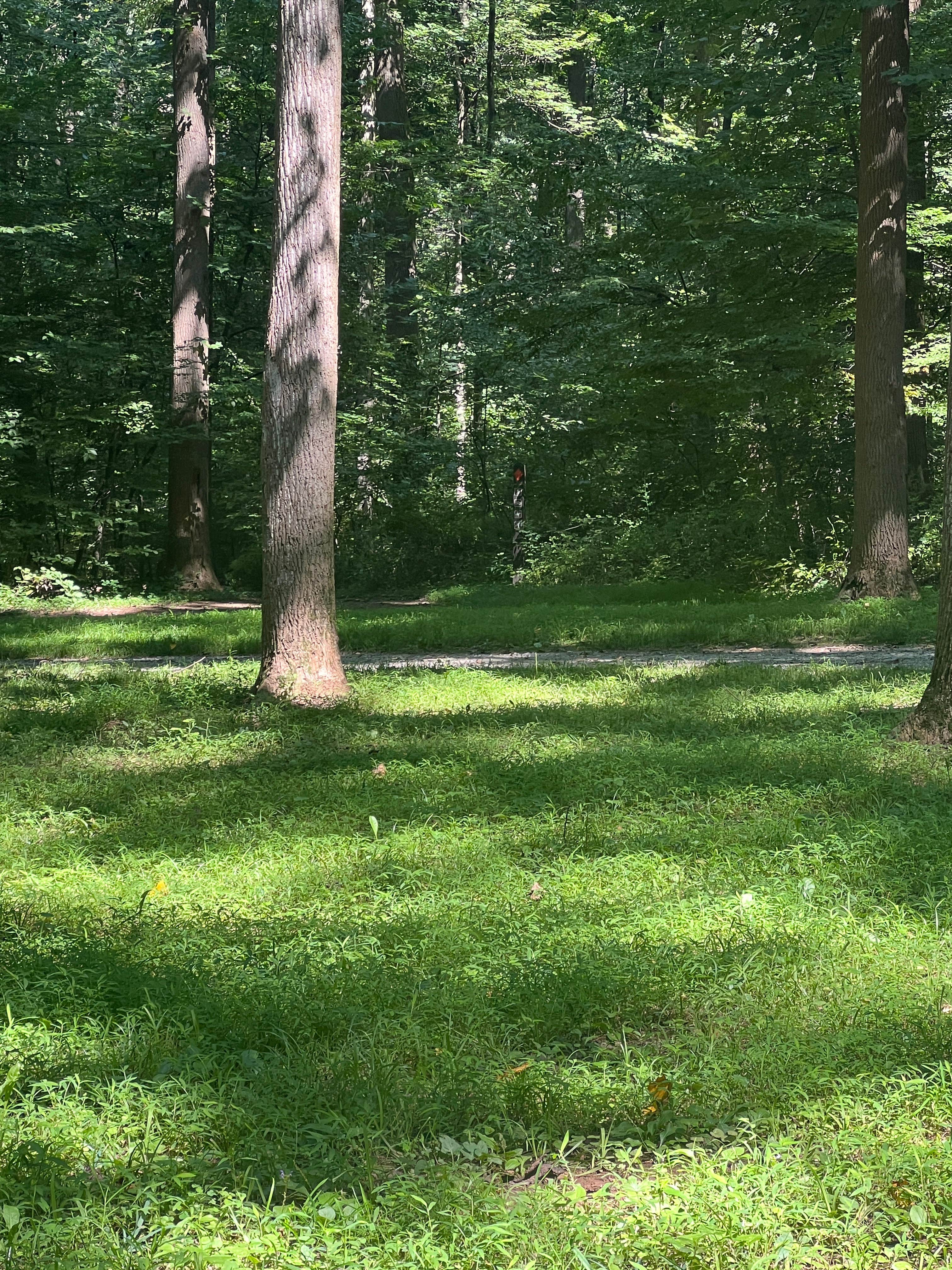 Camper-submitted photo at Hibernia County Park near Blandon, PA