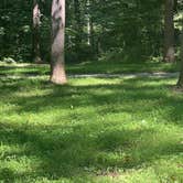 Review photo of Hibernia County Park by Abi D., August 19, 2023