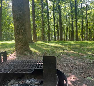 Camper-submitted photo from Hibernia County Park
