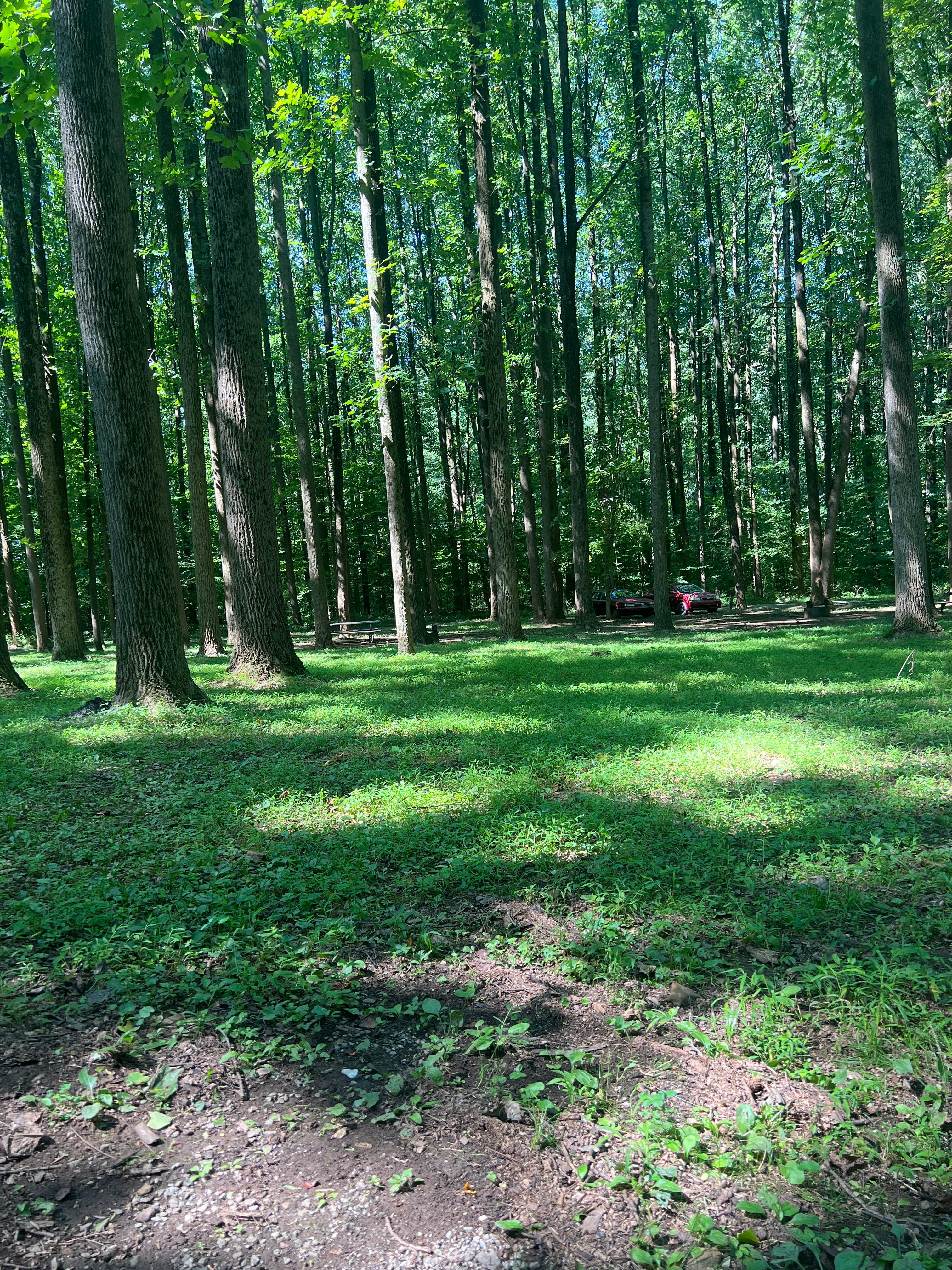 Camper-submitted photo at Hibernia County Park near Blandon, PA