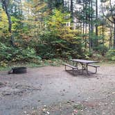 Review photo of Jigger Johnson Campground by Jean C., October 28, 2018