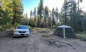 Camper-submitted photo from Forest Road 3237