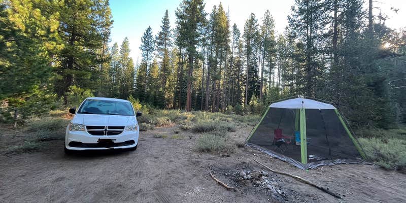 Camper submitted image from Forest Road 3237