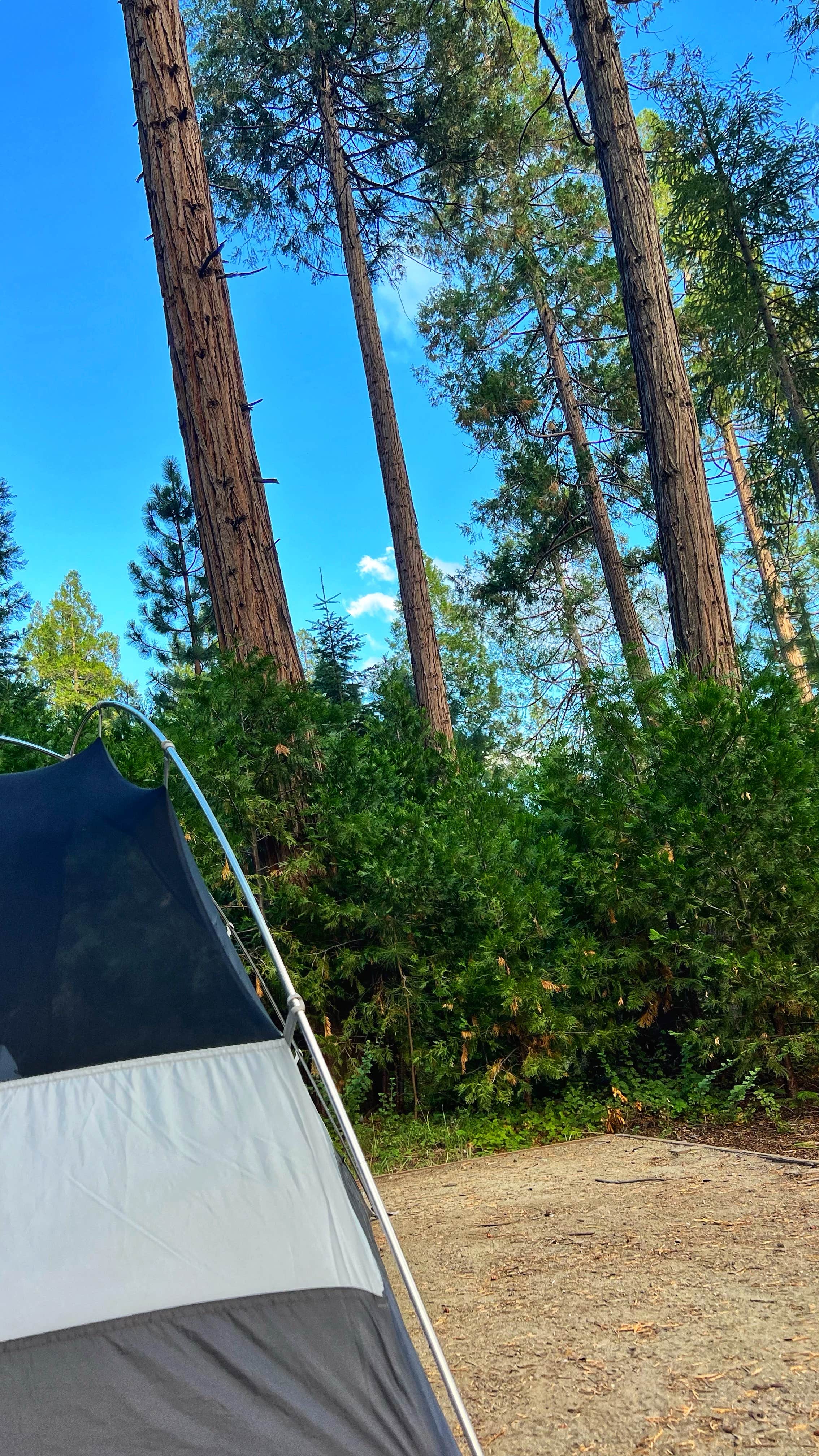 Erik C.'s photo at Dimond O Campground near El Portal, CA