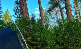 Erik C.'s photo at Dimond O Campground near Eastman Lake