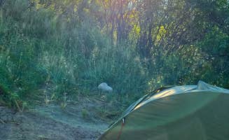 Erik C.'s photo at Green River Campground — Dinosaur National Monument near Dinosaur National Monument