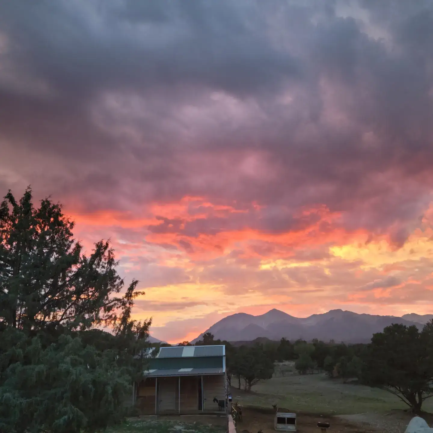 Camping near Wilderness Expeditions RV Park: Mountain Goat Lodge, Poncha Springs, Colorado