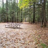 Review photo of Jigger Johnson Campground by Jean C., October 28, 2018