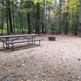 Review photo of Jigger Johnson Campground by Jean C., October 28, 2018