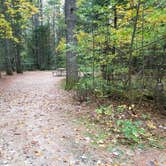 Review photo of Jigger Johnson Campground by Jean C., October 28, 2018