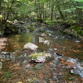 Review photo of White Pine Rustic Outpost Camp — Porcupine Mountains Wilderness State Park by Jennifer D., August 20, 2023