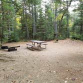 Review photo of Jigger Johnson Campground by Jean C., October 28, 2018