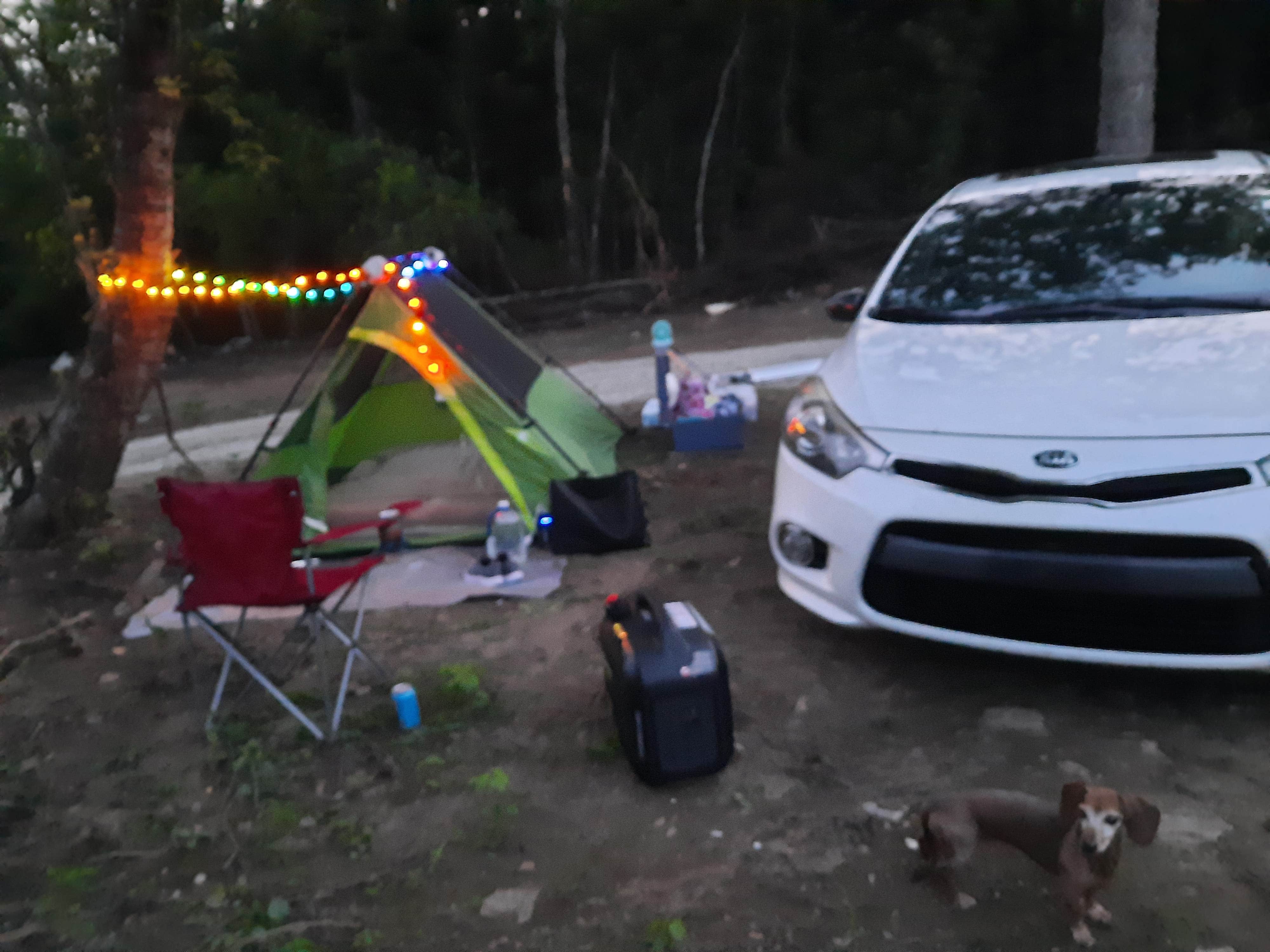 Camper submitted image from 182 MC 4007 - 1