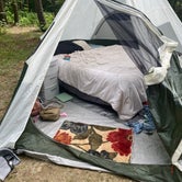 Review photo of Wompatuck State Park Campground by Atlas W., August 20, 2023