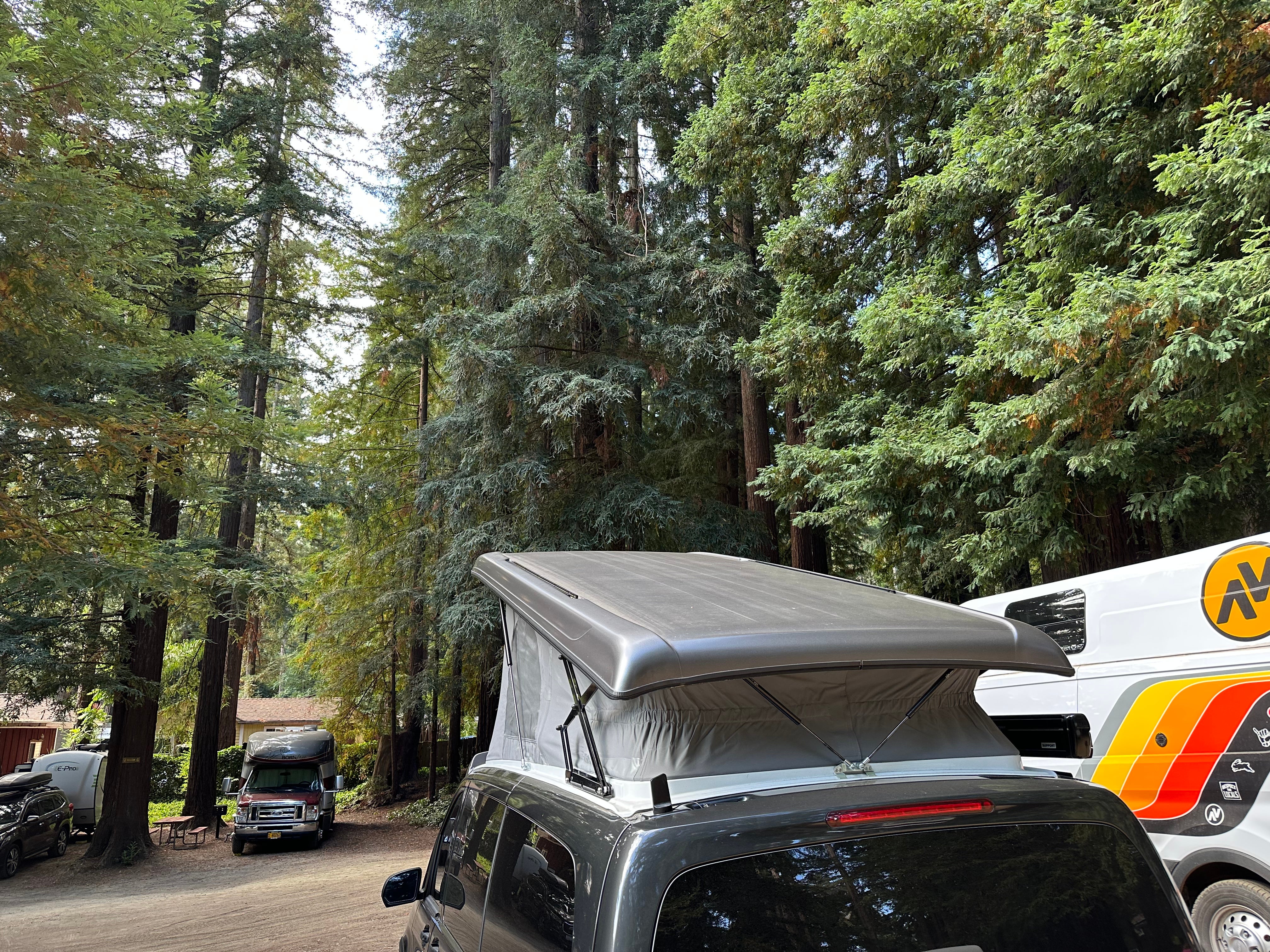 Camper submitted image from Redwood Resort - 3