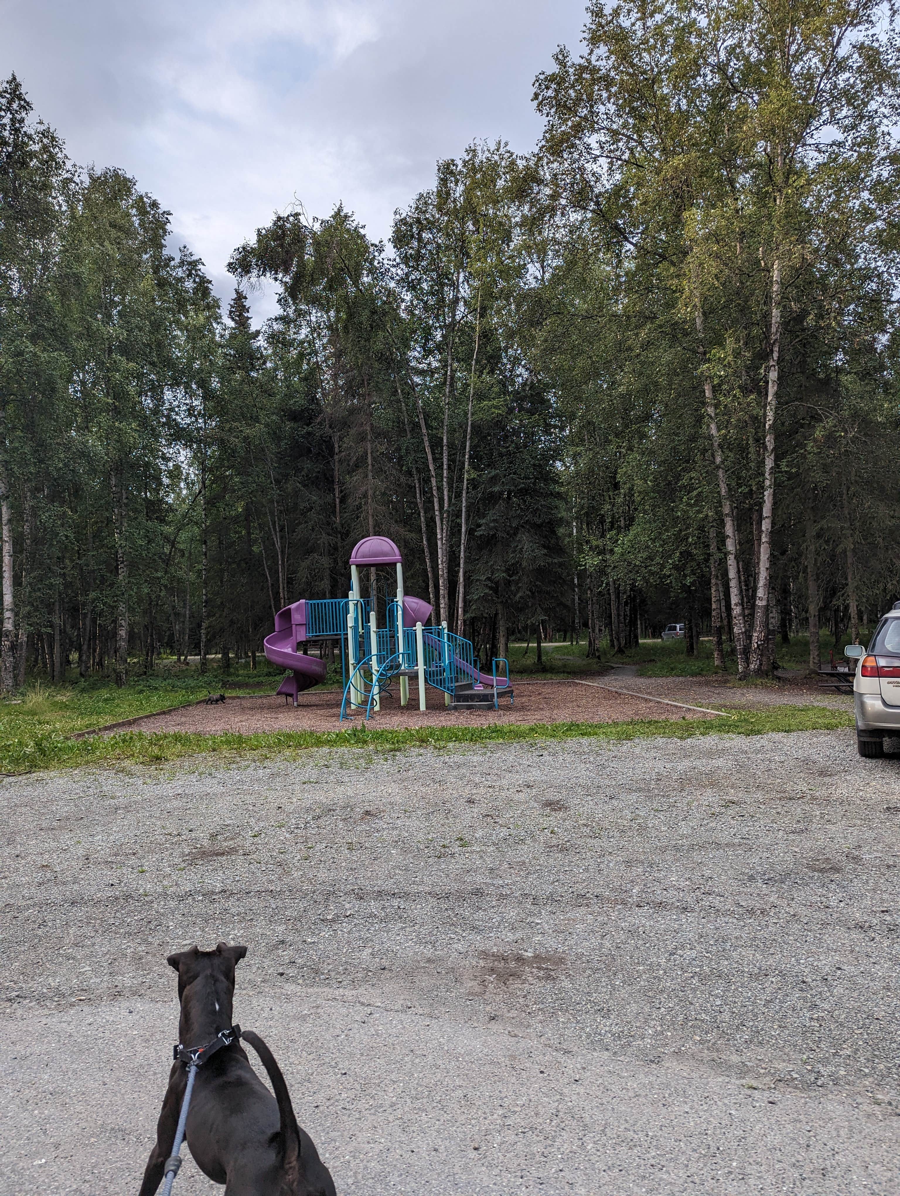 Camper-submitted photo at Centennial Campground near Anchorage, AK