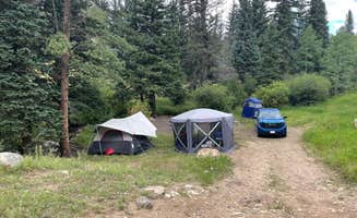 Chris P.'s photo of a dispersed camping area at Pingree Road Dispersed Camping near Laporte, CO