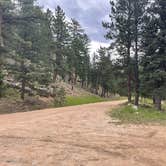 Review photo of Pingree Road Dispersed Camping by Chris P., August 20, 2023