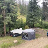 Review photo of Pingree Road Dispersed Camping by Chris P., August 20, 2023