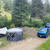 Review photo of Pingree Road Dispersed Camping by Chris P., August 20, 2023