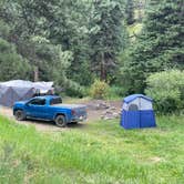 Review photo of Pingree Road Dispersed Camping by Chris P., August 20, 2023