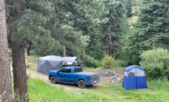 Camping near Stove Prairie: Pingree Road Dispersed Camping, Red Feather Lakes, Colorado