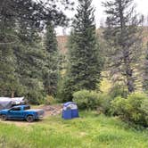 Review photo of Pingree Road Dispersed Camping by Chris P., August 20, 2023