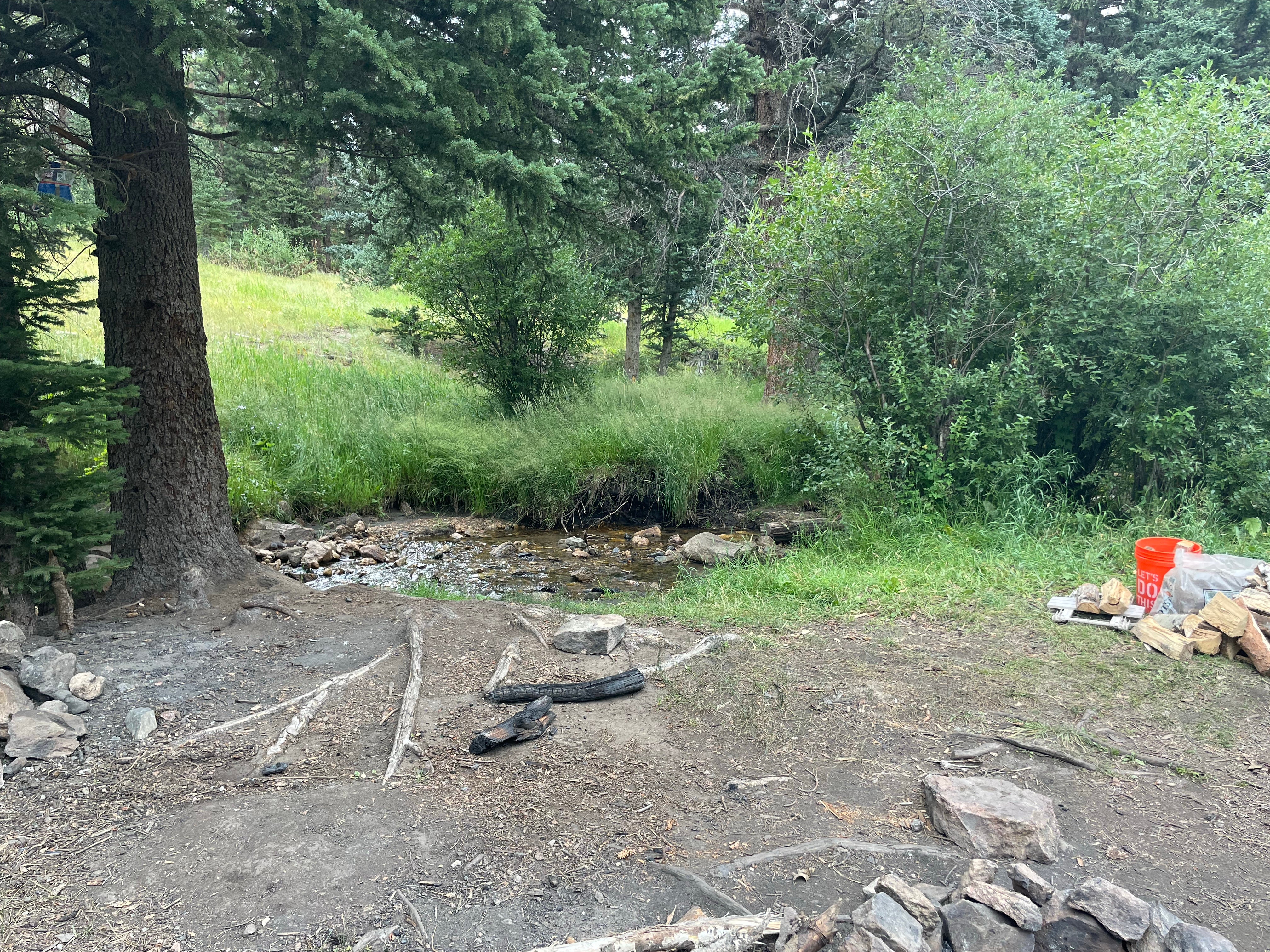 Camper submitted image from Pingree Road Dispersed Camping - 5