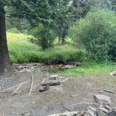 Review photo of Pingree Road Dispersed Camping by Chris P., August 20, 2023