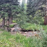 Review photo of Pingree Road Dispersed Camping by Chris P., August 20, 2023